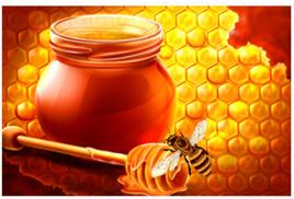 蜜蜂產品 蜜蜂產品