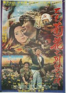 野菊花開放 野菊花開放