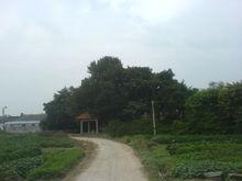 泗竹埔[廣東省普寧市流沙南街道泗竹埔村]