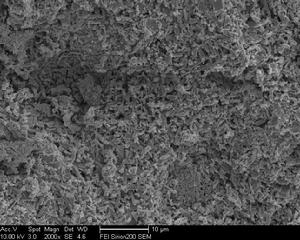 固化溫度50℃時極板SEM圖
