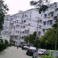 寶林九村 寶林九村