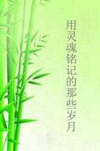 用靈魂銘記的那些歲月 用靈魂銘記的那些歲月