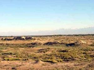 北庭古城 北庭古城