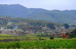 金家寨村[雲南師宗縣丹鳳鎮下轄村]