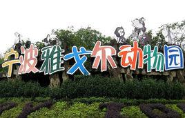 寧波雅戈爾動物園 寧波雅戈爾動物園