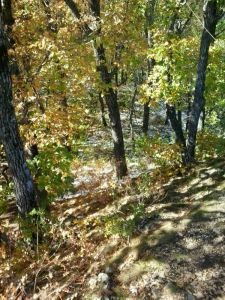 大青山景區[黑龍江] 