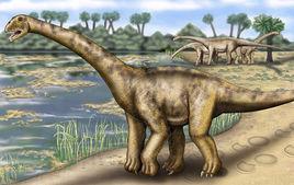 蜥腳類恐龍 蜥腳類恐龍