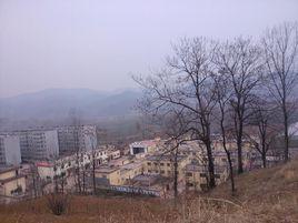 上川村[河南嵩縣舊縣鎮下轄村]