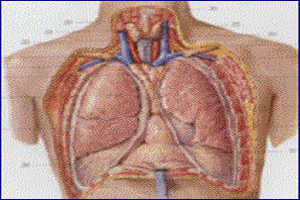 急性肺源性心臟病