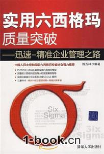 實用六西格瑪質量突破 實用六西格瑪質量突破