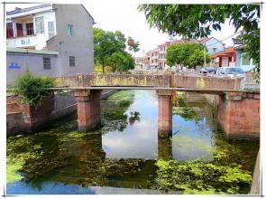 望峰橋村 望峰橋村