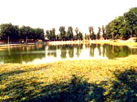 金中都太液池遺址 金中都太液池遺址