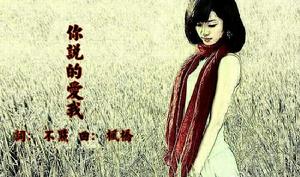 你說的愛我 你說的愛我