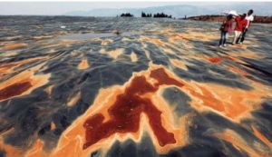 土壤環境質量分級 土壤環境質量分級