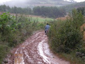 李子園芹菜塘村 李子園芹菜塘村