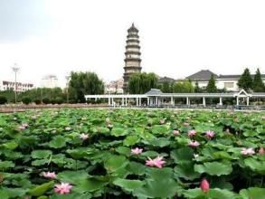 浮屠峙玉 浮屠峙玉