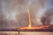 澳大利亞偏僻內陸驚現30米高火焰龍捲風奇觀