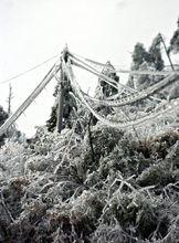 生死不離[影像製品]