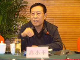 高小平[陝西省住房和城鄉建設廳原總工程師]