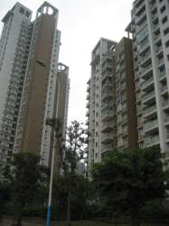 魯能星城三期-8街區 魯能星城三期-8街區