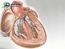 老年人酒精性心臟病 老年人酒精性心臟病