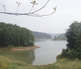 西湖村[安徽淮南市大通區洛河鎮下轄村]