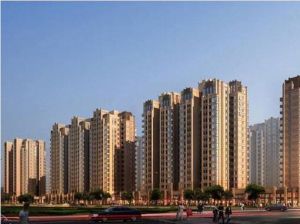 保利金香檳 保利金香檳