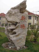 上海松江新橋鎮