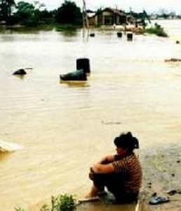 平垸行洪 平垸行洪