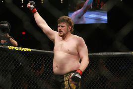 尼爾森[UFC格鬥家]