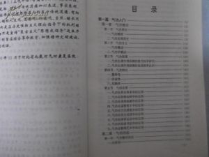 《東方傳統高級氣功薈萃》 《東方傳統高級氣功薈萃》