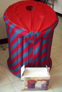 麗妍堂蒸汽機 麗妍堂蒸汽機