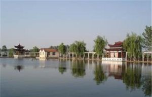 遠望生態農莊 遠望生態農莊