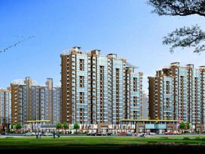 中央龍灣 中央龍灣