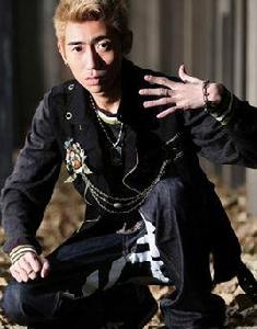 康電情歌 康電情歌