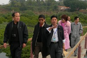 山口紅樹林生態自然保護區