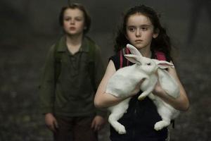 拉拉&middot;羅賓遜