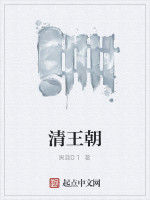 清王朝 清王朝
