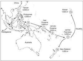 南島語系 南島語系