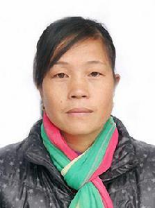 楊梅芳[湖南省鳳凰縣山江鎮東就村黨支部書記]