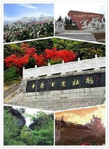 畢節市百里杜鵑景區 畢節市百里杜鵑景區