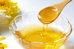 花蜜[植物分泌的液體]