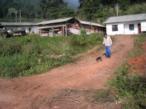 茶場自然村 茶場自然村