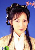 碧血劍[2000年香港TVB版林家棟主演電視劇]