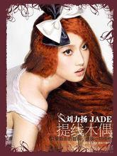 提線木偶專輯封面