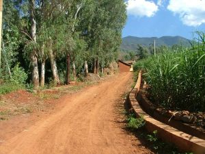 下大坪村 下大坪村