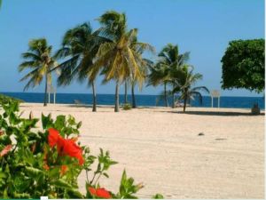 加勒比地區（自然風光）