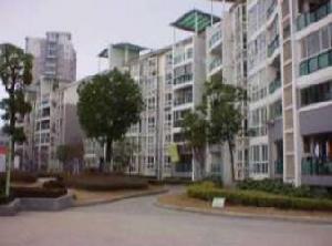 梅花山莊湖畔之星 梅花山莊湖畔之星