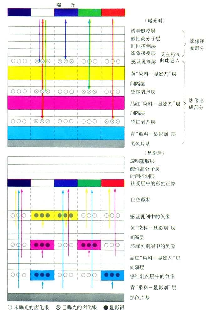 彩色感光材料