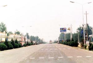 《罌粟的情人》